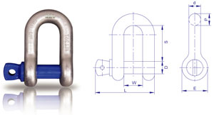 草莓视频在线观看视频DW型卸扣